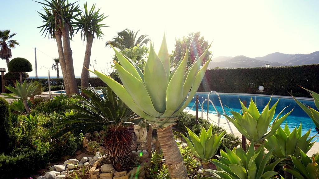 Apartamentos Starnerja En Stella Maris Номер фото