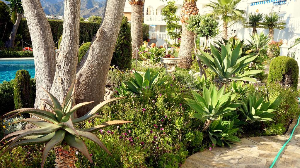 Apartamentos Starnerja En Stella Maris Номер фото
